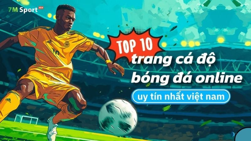 Trang nhà cái uy tín chỉ cung cấp thông tin khách quan